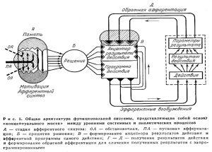 samorod11